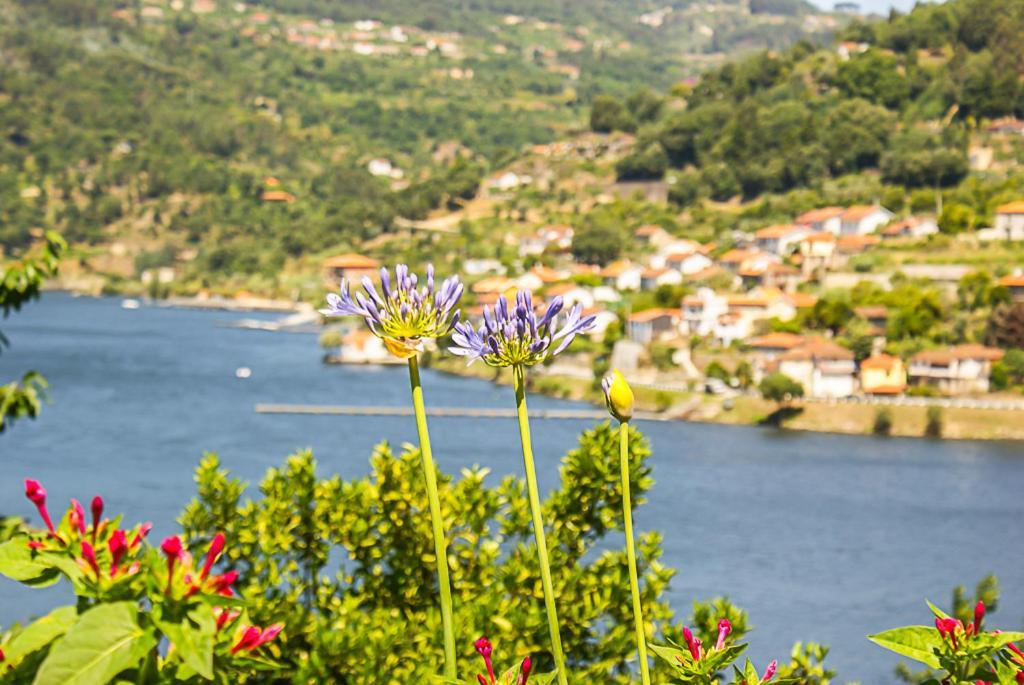 Вилла Casa Da Torre, Porto Manso Рибадору Экстерьер фото