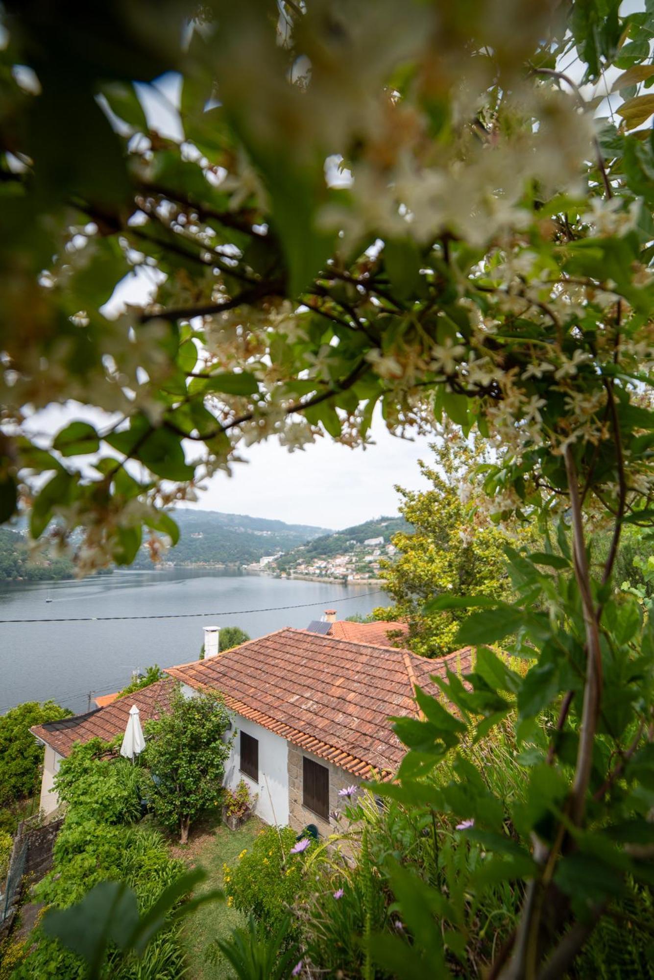 Вилла Casa Da Torre, Porto Manso Рибадору Экстерьер фото